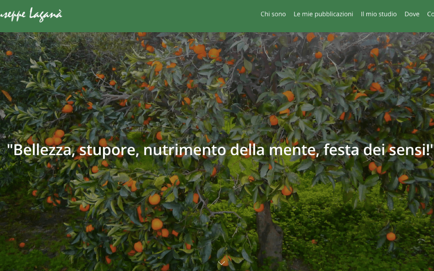 Rounded Image