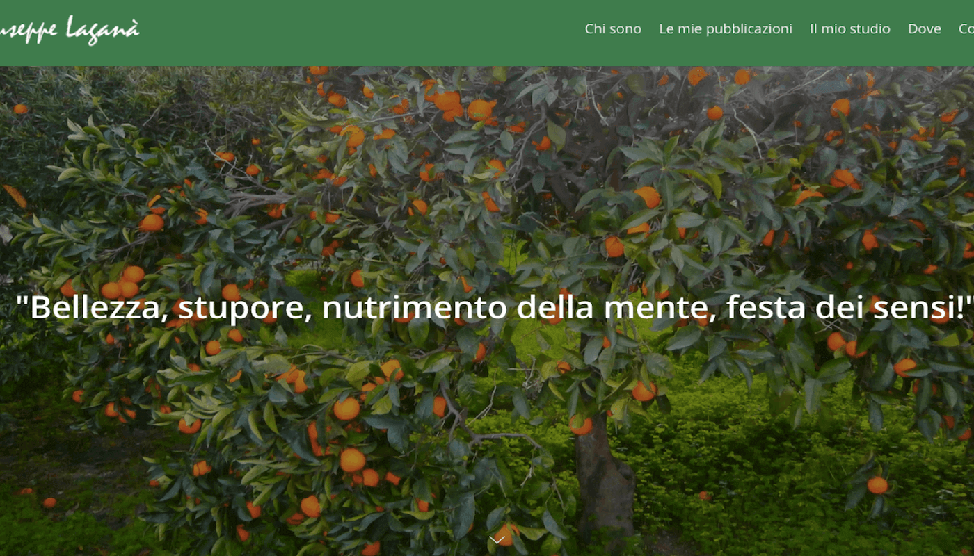 giuseppelagana.it